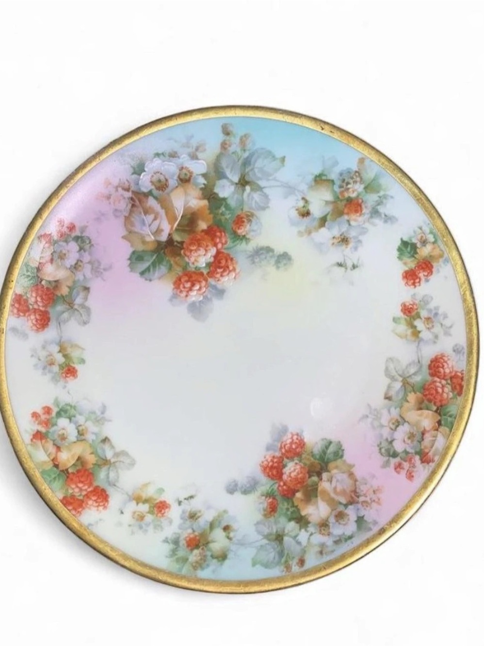 Imperial Austria Hand-Painted Floral Dinner Plate in White & Pink